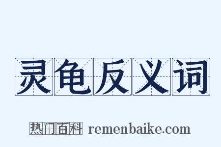 灵龟反义词是什么意思的图片